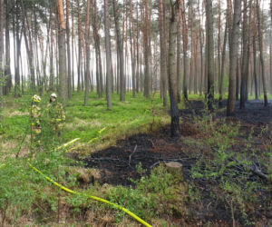 Podpalacz grasuje pod Pleszewem?! Ktoś chyba świetnie się bawi