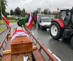 RZESZÓW: Proest AGROUNI