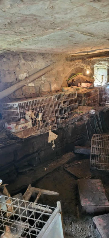 OTOZ Animals interwencja w Żywcu