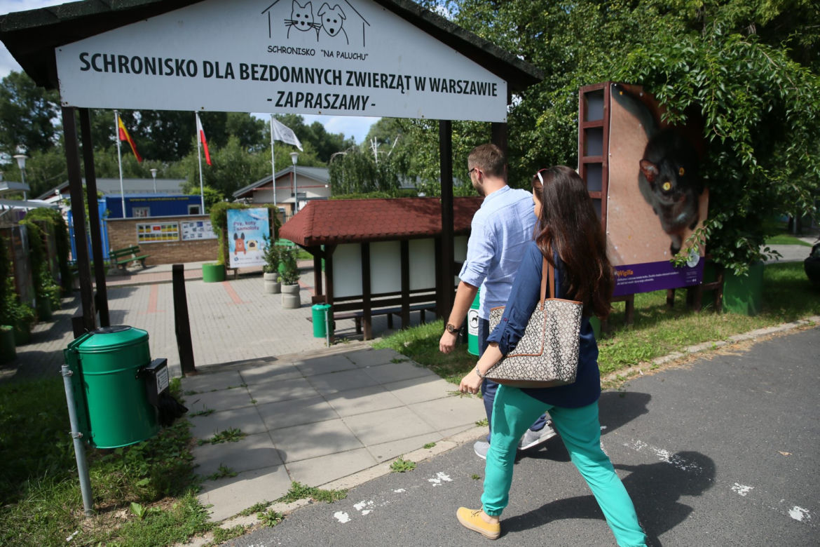 Poseł odwiedził schronisko