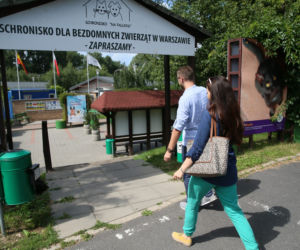 Poseł odwiedził schronisko