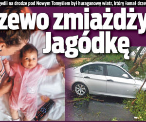 Drzewo zmiażdżyło Jagódkę