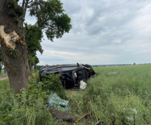Ledwo zdał prawo jazdy i dachował. 18-latek był pijany