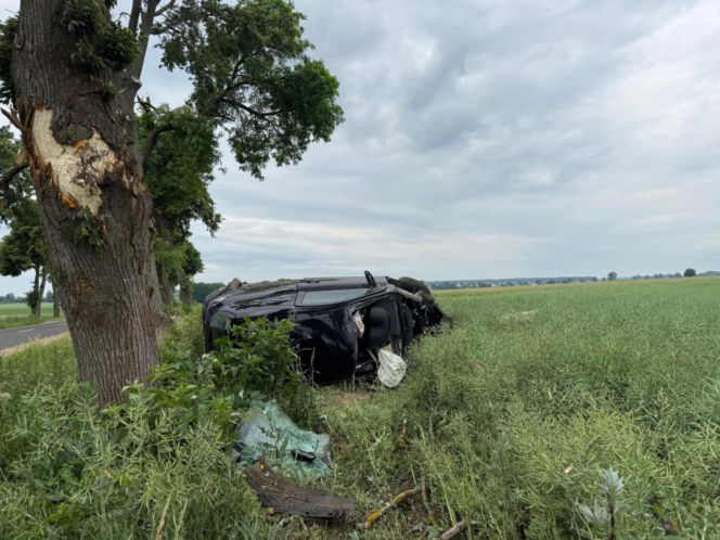 Ledwo zdał prawo jazdy i dachował. 18-latek był pijany