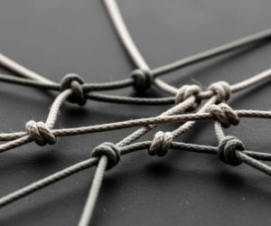 Sondaż o polityce w 2026 roku. Czy Polacy stracili już wszelkie złudzenia?