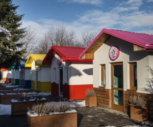 Psy czekają na adopcję w przemyskiej psiej wiosce [ZDJĘCIA]