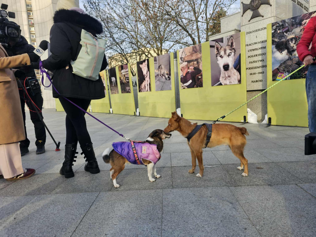 Protest przed Sejmem (17.12.2025)