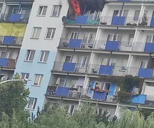 W Rzeszowie płonie mieszkanie w bloku nr 24 na Podwisłoczu