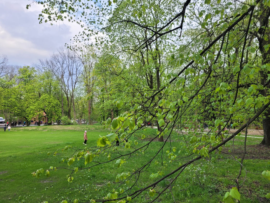 Kraków. Wyremontowany park Bednarskiego oficjalnie otwarty