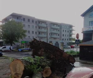 Krajobraz jak po apokalipsie! Potężna burza w Dęblinie. Drzewa miażdżyły samochody