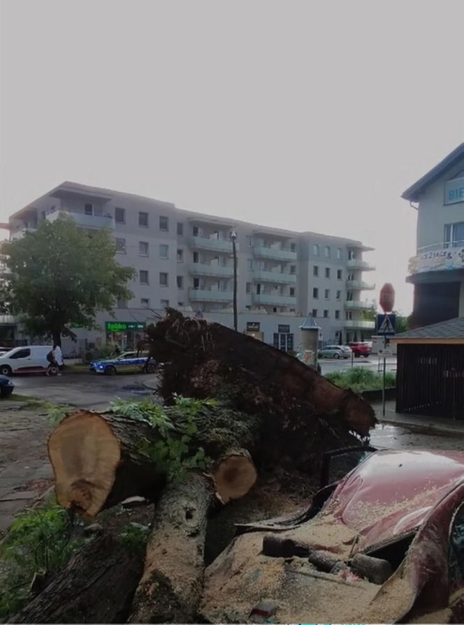 Krajobraz jak po apokalipsie! Potężna burza w Dęblinie. Drzewa miażdżyły samochody