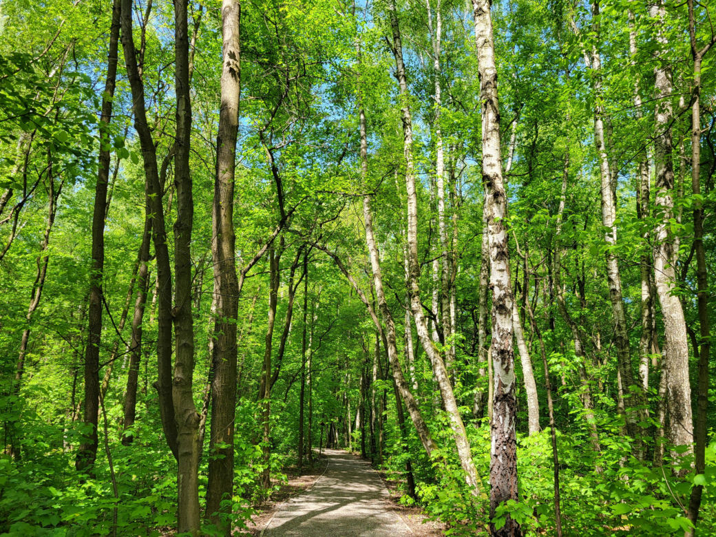 Powidzki Park Krajobrazowy