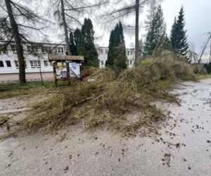 Interwencje Strażaków przy likwidacji szkód spowodowanych przez gwałtowny wiatr i burze