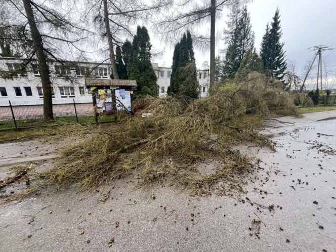 Interwencje Strażaków przy likwidacji szkód spowodowanych przez gwałtowny wiatr i burze
