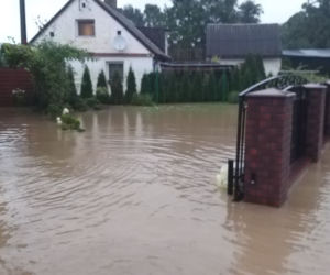 Zalany Morów