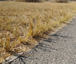 Temperatura w Białymstoku mocno wzrośnie. Finał weekendu przyniesie dużą zmianę