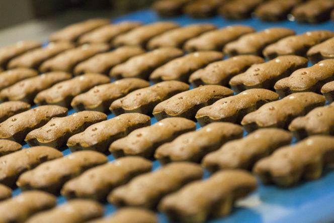 Mondelez w Płońsku