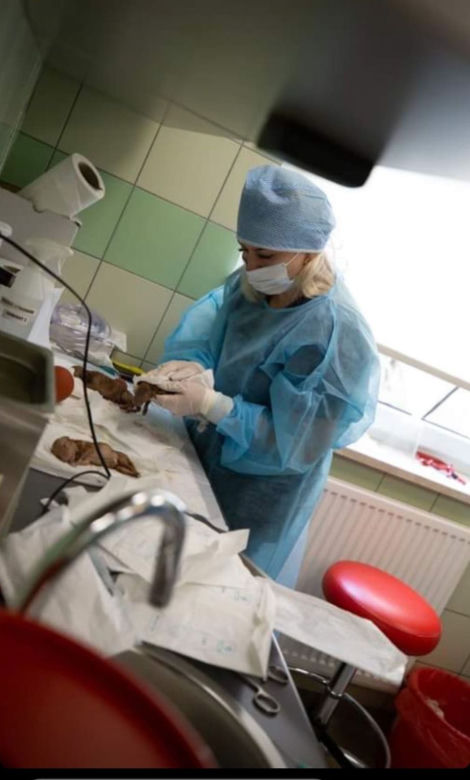 Suczka Alisa przyjechała z Ukrainy do Polski na cesarskie cięcie [GALERIA]
