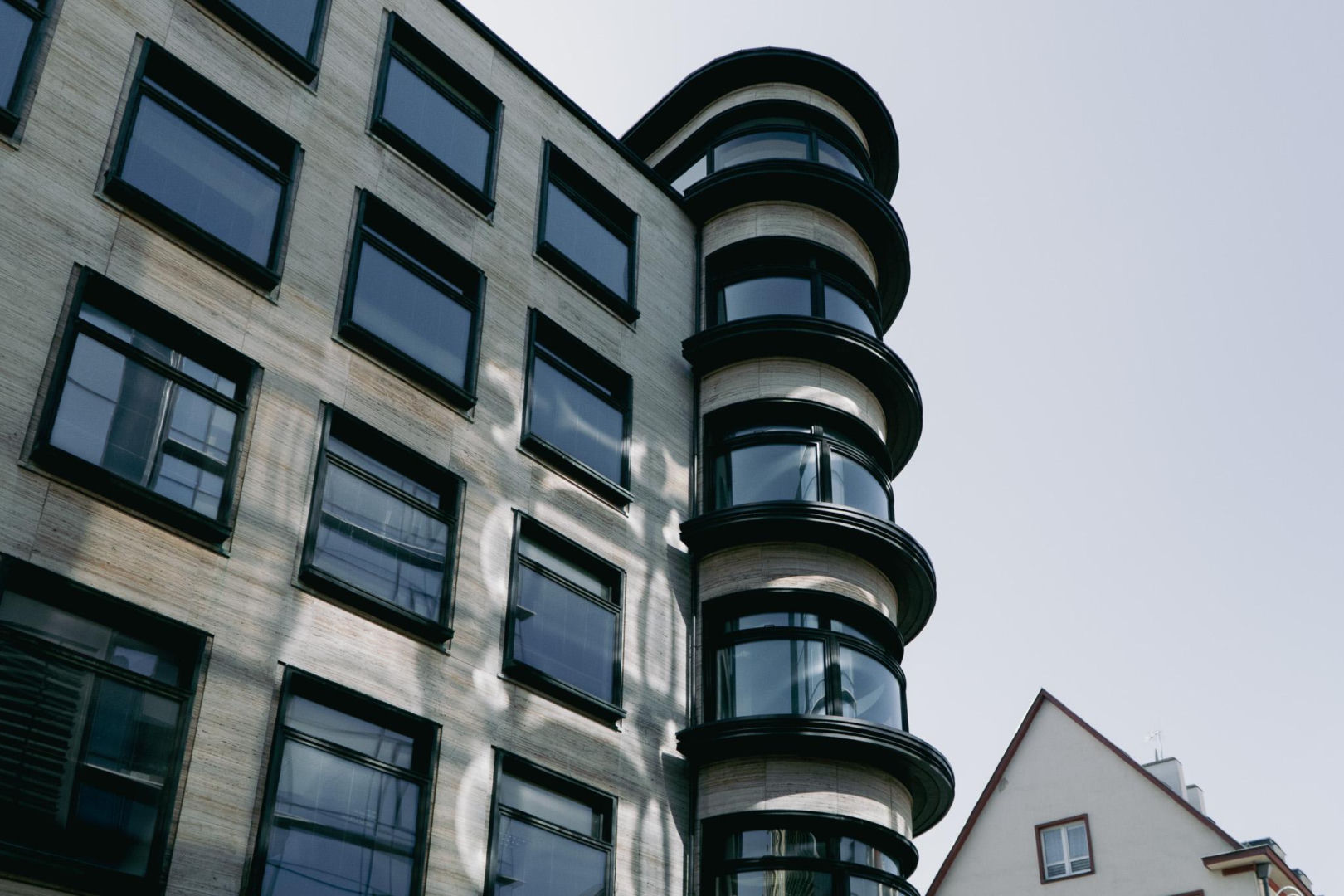 Kameleon we Wrocławiu