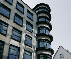 Kameleon we Wrocławiu