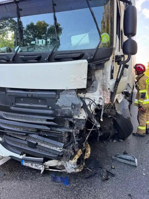 Tragiczny wypadek na DK 10 pod Toruniem! Nie żyje mężczyzna