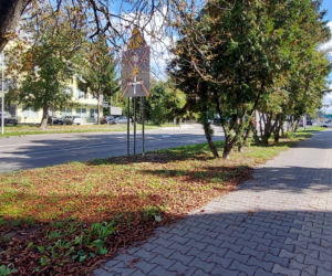 ul. Peowiaków w Zamościu