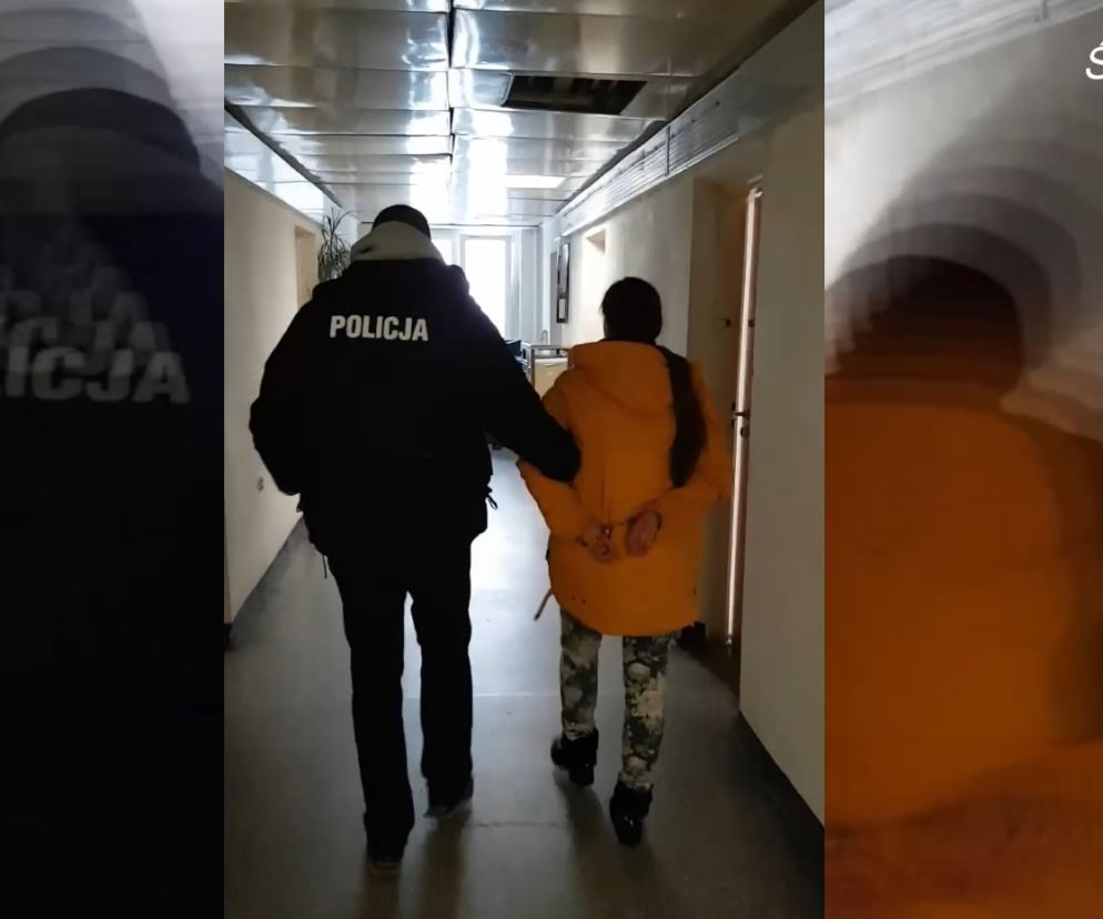 Śląskie: Policja zatrzymała parę pedofili