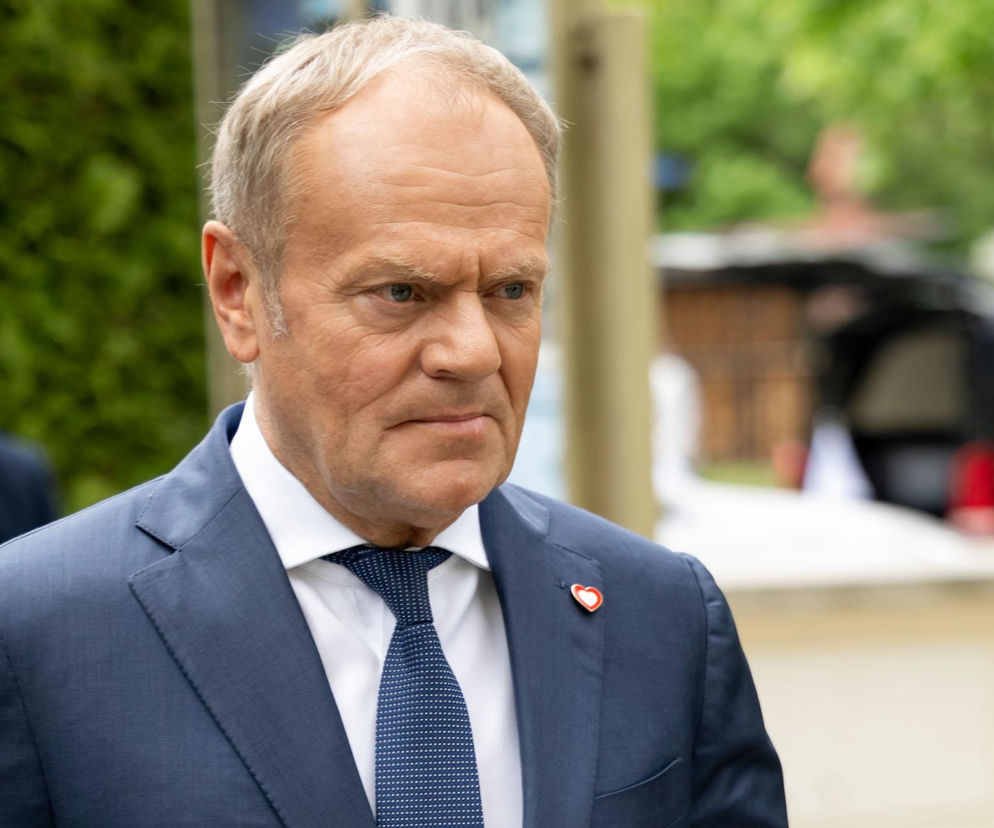 Donald Tusk kpi z prezydenta. Poszło o państwowe utrzymanie koni Karola Nawrockiego