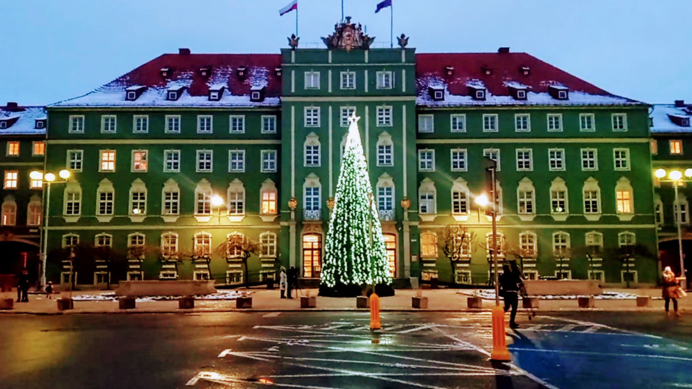 Miejska choinka rozbłysła przed szczecińskim magistratem