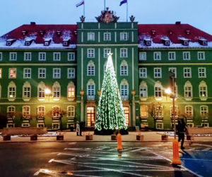 Miejska choinka rozbłysła przed szczecińskim magistratem