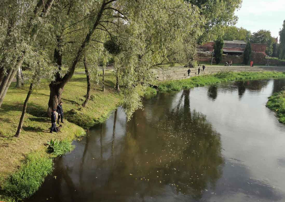 Mężczyzna WSKOCZYŁ do Drwęcy na terenie Brodnicy. Trwa akcja poszukiwawcza