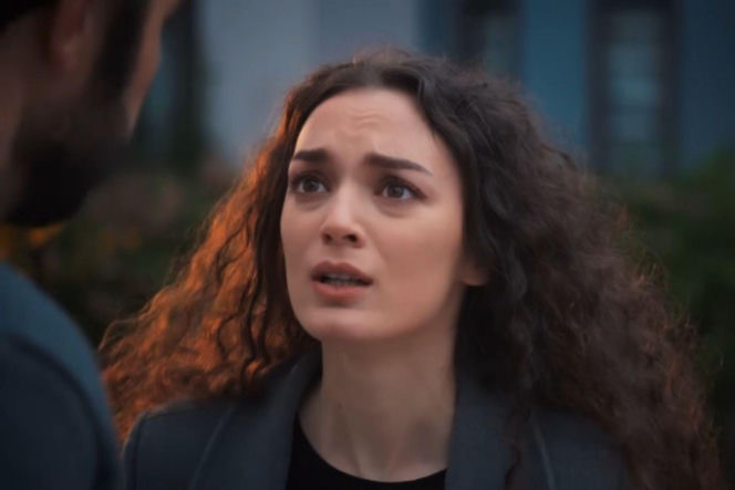 Dziedzictwo odc. 832