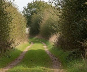 Zaginięcie Tomasza Wiśnieckiego z Bobowisk. Gdzie przepadł bez śladu?