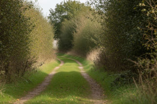 Zaginięcie Tomasza Wiśnieckiego z Bobowisk. Gdzie przepadł bez śladu?