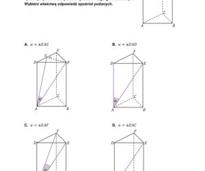 Matura 2023. Arkusz pokazowy matematyka