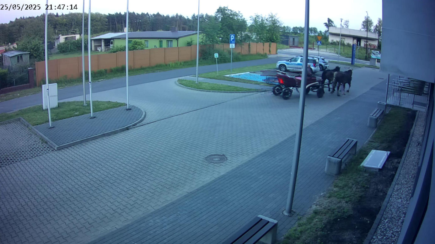 Poddębice. Wóz konny na parkingu komendy. Kierowca nietrzeźwy i z dożywotnim zakazem [ZDJĘCIA]. 