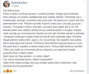 Pitbulle-mordercy rozszarpały pieska! 