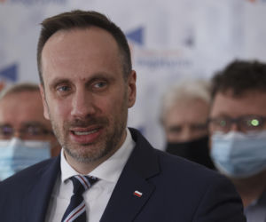 Janusze polityki