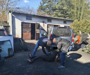 Kobra rozbiła dziuplę pod Wołominem. Odzyskano auto ukradzione z zaskakującego miejsca
