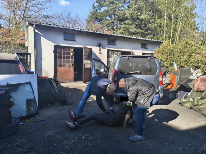 20 zarzutów za paserstwo. Rozbierali auta pod Wołominem. "Kobra" likwiduje samochodową dziuplę!