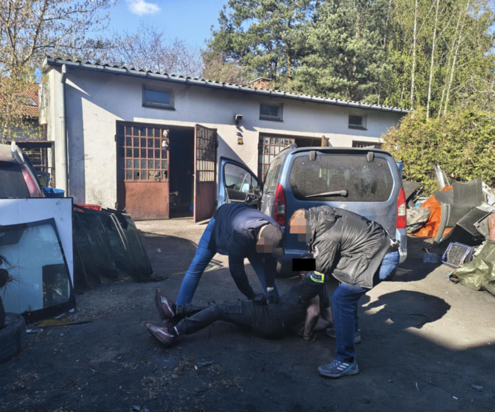 Kobra rozbiła dziuplę pod Wołominem. Odzyskano auto ukradzione z zaskakującego miejsca