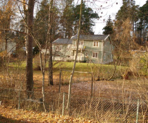 Zdjęcie 6294