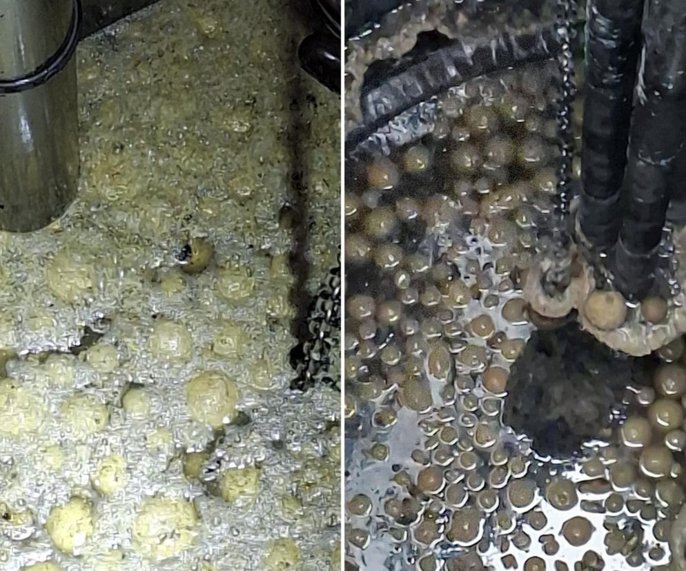 Pączki zapchały rury w Słupi