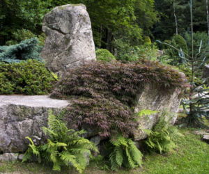 Ogród w stylu japońskim