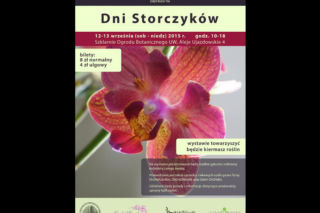 Dni Storczyków w Ogrodzie Botanicznym UW. W weekend 12-13 września [BILETY]