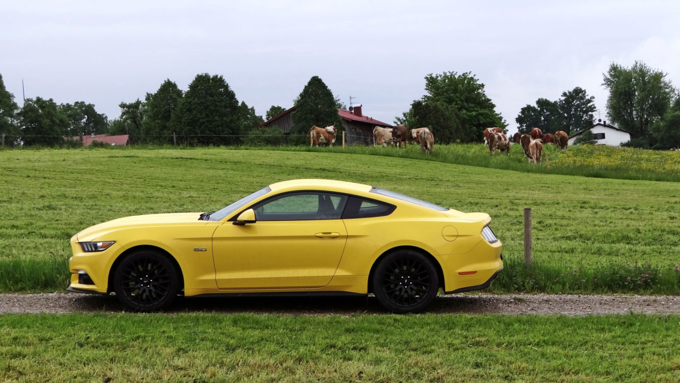 Ford Mustang GT 5.0 V8