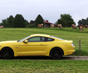 Ford Mustang GT 5.0 V8
