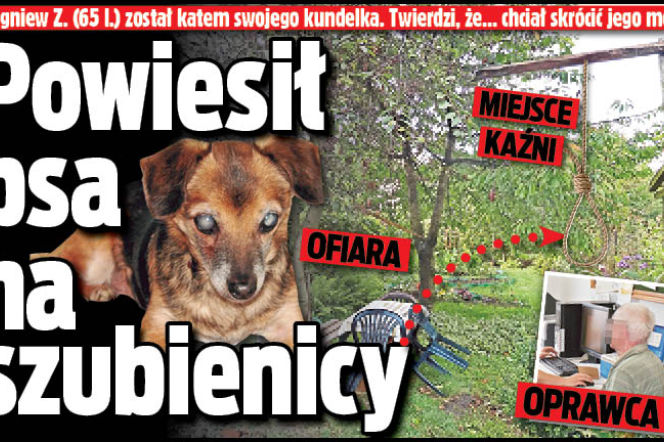 Powiesił psa na szubienicy