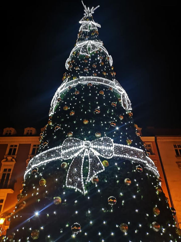 Świąteczne iluminacje rozświetliły Kalisz! To trzeba zobaczyć [ZDJĘCIA]