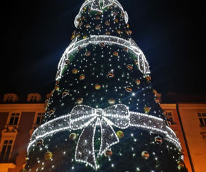 Świąteczne iluminacje rozświetliły Kalisz! To trzeba zobaczyć [ZDJĘCIA]